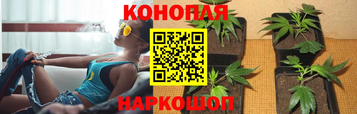 Шишки марихуана ГИДРОПОН  МАРИХУАНА конопля  Ишим  Вход с VPN 